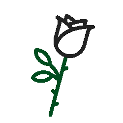 wired-outline-1845-rose