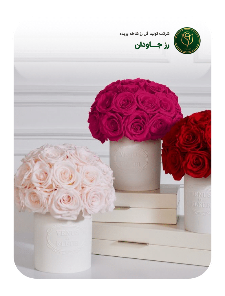 Artboard – 12