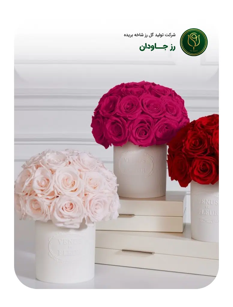 Artboard – 12