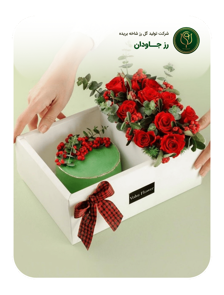 Artboard – 14