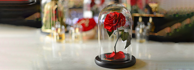 Free-Gifts-Img