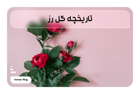 تاریخچه گل رز