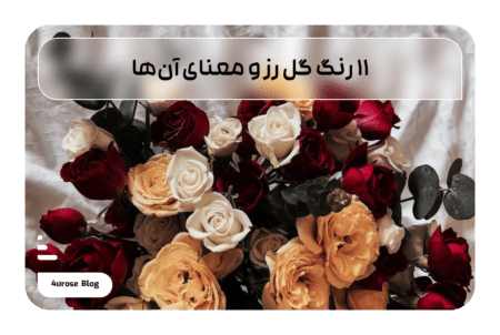11 رنگ گل رز و معنای آن‌ها