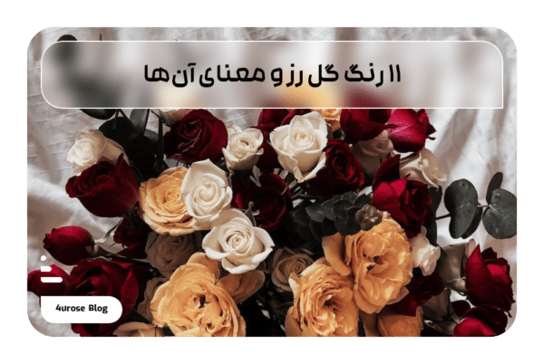 11 رنگ گل رز و معنای آن‌ها
