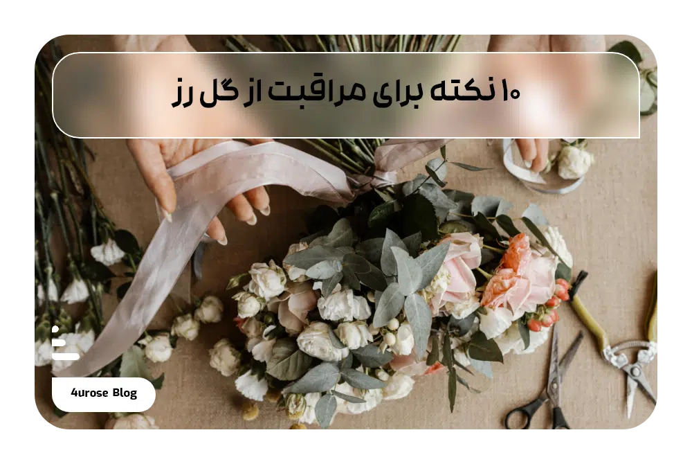۱۰ نکته برای مراقبت از گل رز