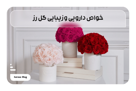 خواص دارویی و زیبایی گل رز