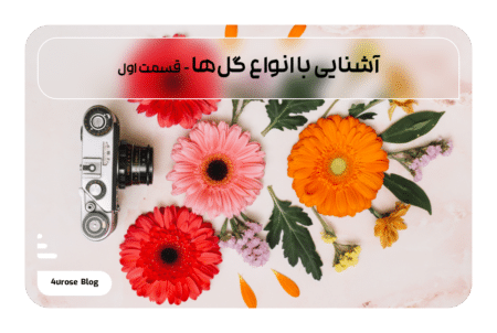 آشنایی با انواع گل‌ها