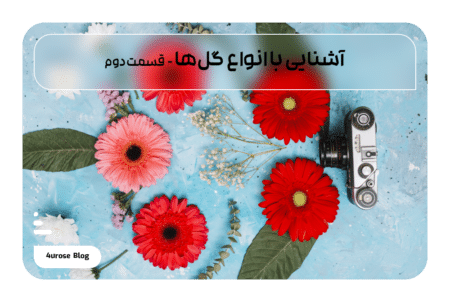 آشنایی با انواع گل‌ها