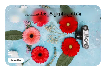 آشنایی با انواع گل‌ها