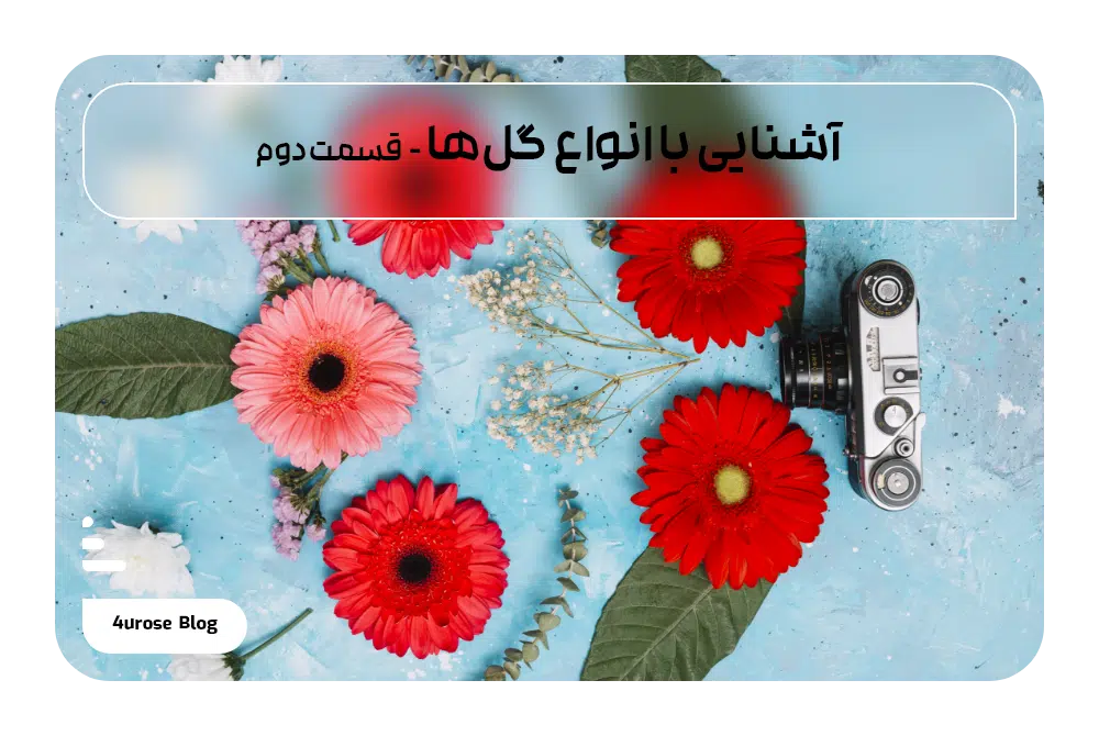 آشنایی با انواع گل‌ها