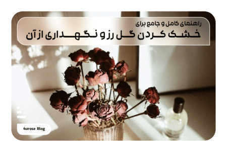 راهنمای کامل و جامع برای خشک کردن گل رز و نگهداری از آن