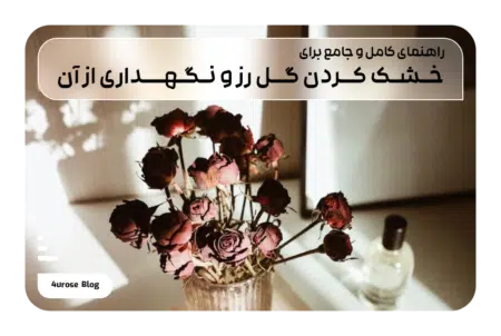 راهنمای کامل و جامع برای خشک کردن گل رز و نگهداری از آن
