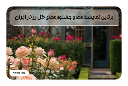 برترین نمایشگاه‌ها و جشنواره‌های گل رز در ایران
