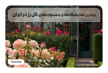 برترین نمایشگاه‌ها و جشنواره‌های گل رز در ایران