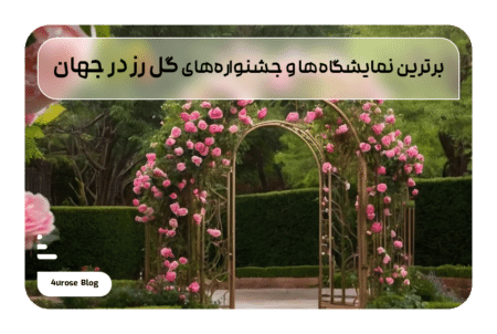 جشنواره‌ گل رز در جهان