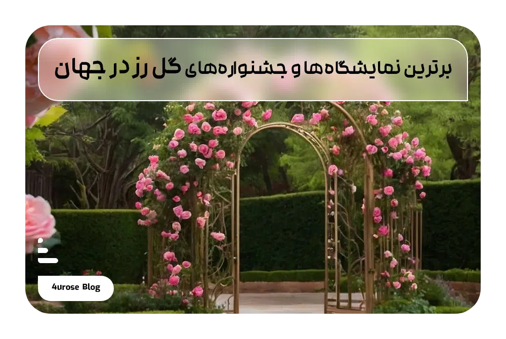 جشنواره‌ گل رز در جهان