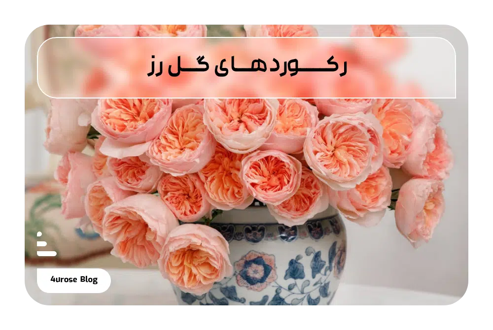 رکوردهای گل رز