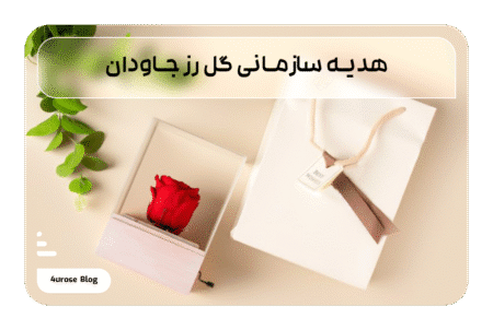 هدیه سازمانی گل رز جاودان