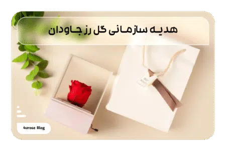 هدیه سازمانی گل رز جاودان