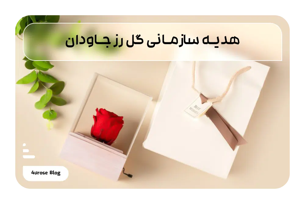 هدیه سازمانی گل رز جاودان