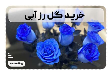 خرید گل رز آبی