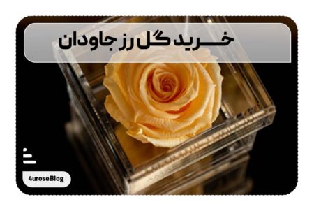 خرید گل رز جاودان