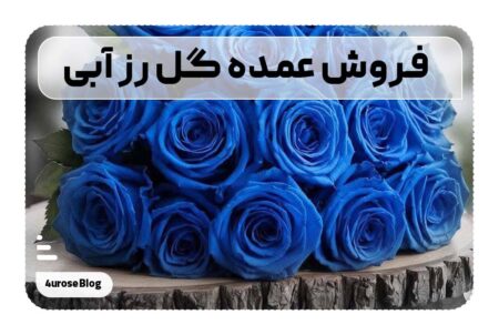 فروش عمده گل رز آبی