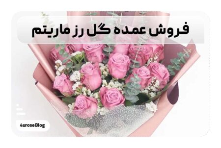 فروش عمده گل رز ماریتم