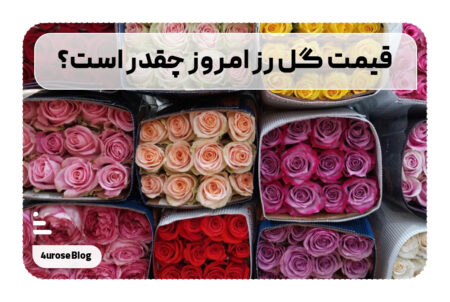 قیمت گل رز امروز چقدر است؟