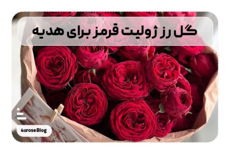 گل رز ژولیت قرمز برای هدیه