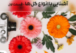 آشنایی با انواع گل‌ها