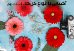 آشنایی با انواع گل‌ها