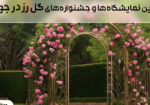 جشنواره‌ گل رز در جهان