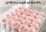 راهنمای خرید رز جاودان
