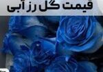 قیمت گل رز آبی