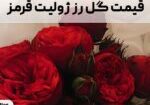 قیمت گل رز ژولیت قرمز