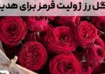 گل رز ژولیت قرمز برای هدیه